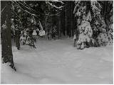 Tržič - Planina Zgornja Konjščica